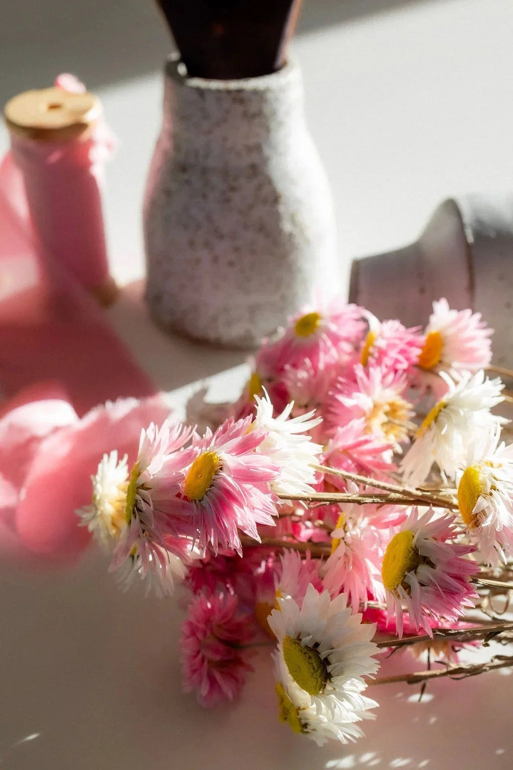 Petal & Bow - Paper Daisy - Seed Packs & Everlasting Dried Mini Bouquets