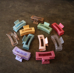 Colourful Claw Clips