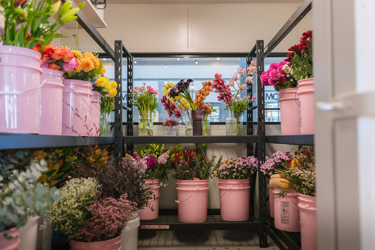 Beautiful blooms for every moment.