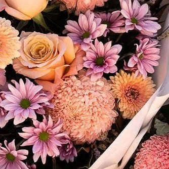 Send Today